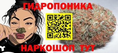 стафф Нарткала