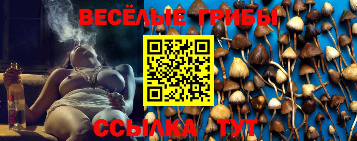 Россошь  Галлюциногенные грибы Cubensis  Вход с VPN 